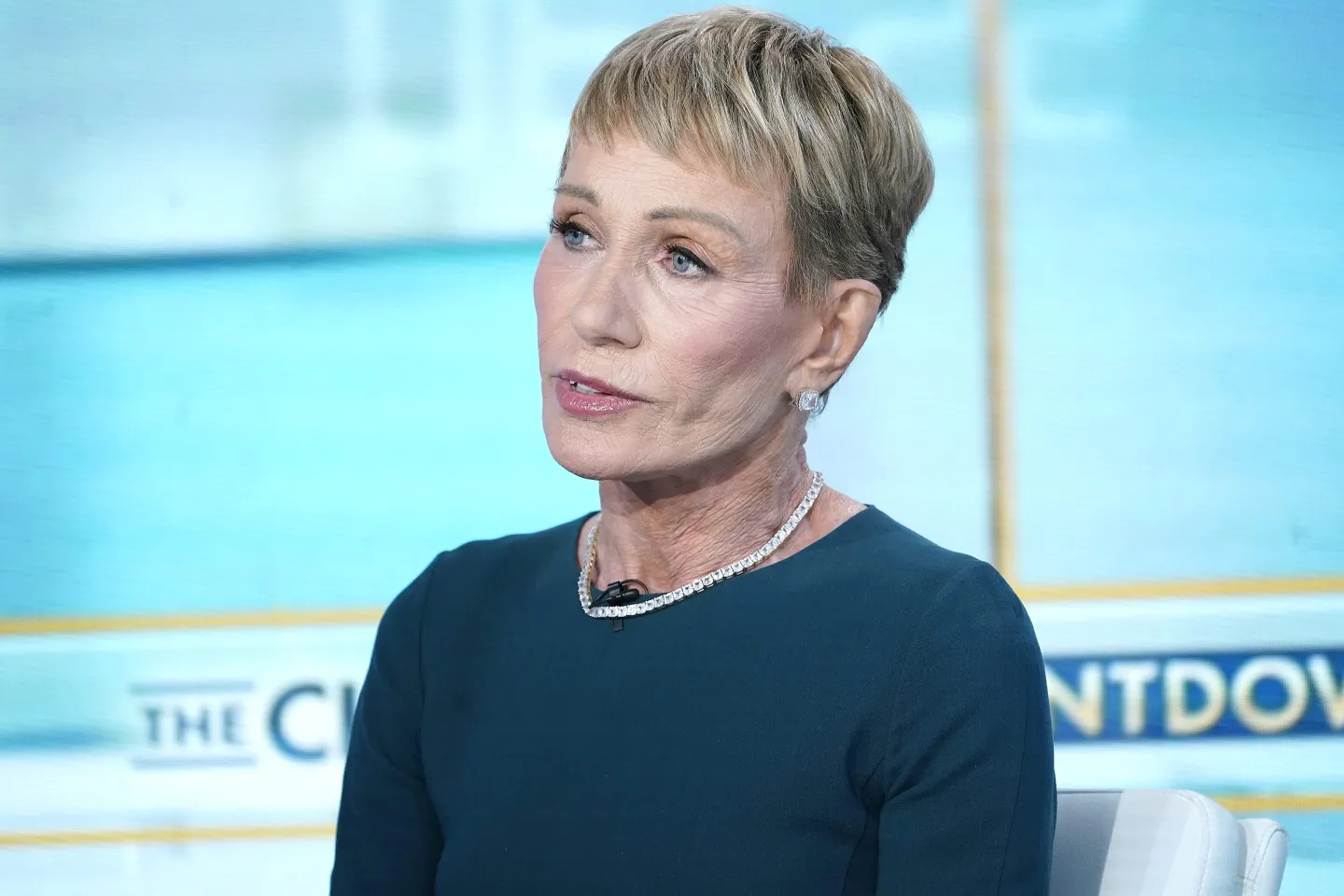 Barbara Corcoran in blue sweater