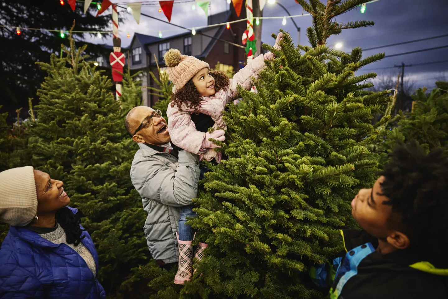 Eat your leftover Christmas tree? Belgium’s food agency warns against it