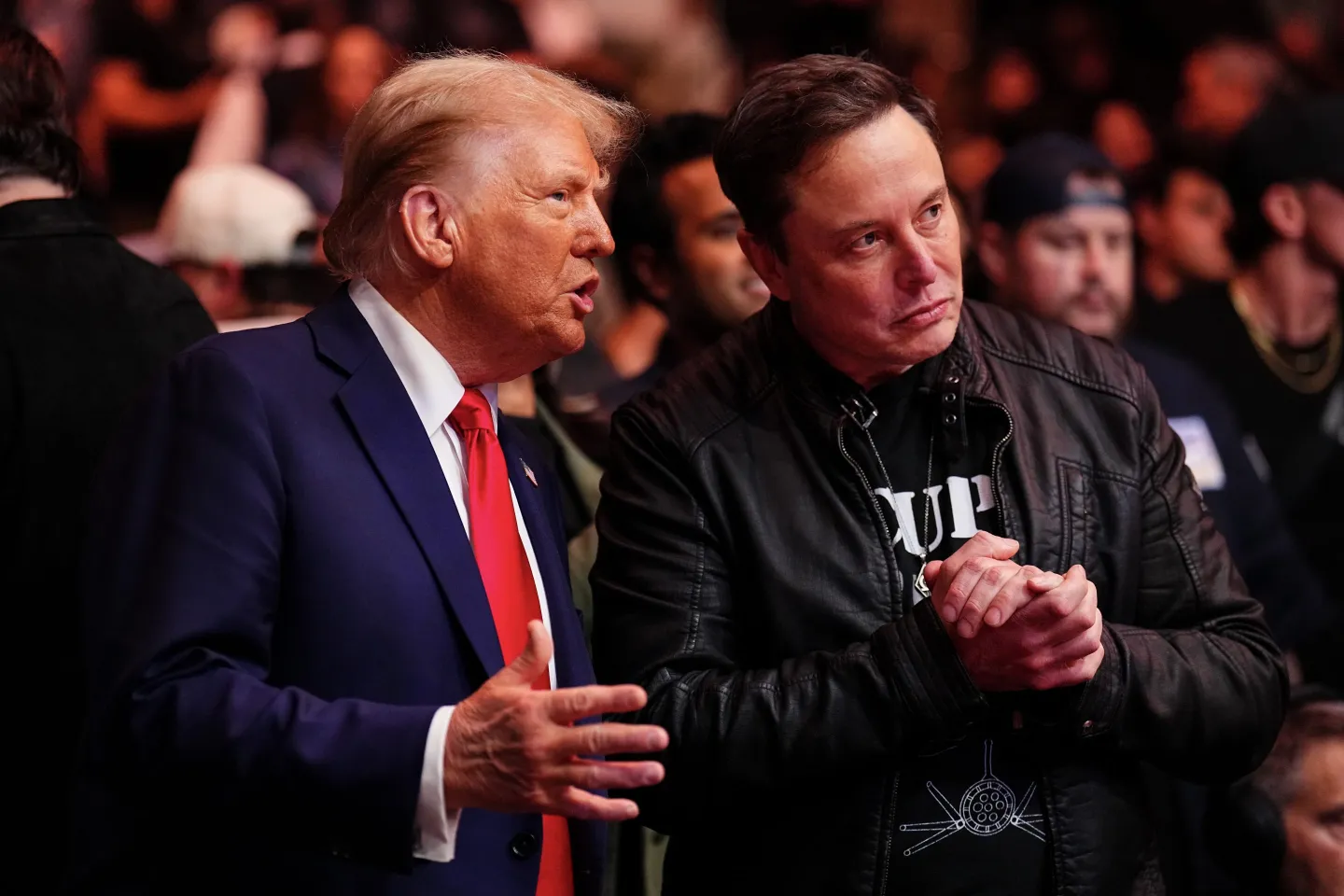 Donald Trump and Elon Musk talk ringside.