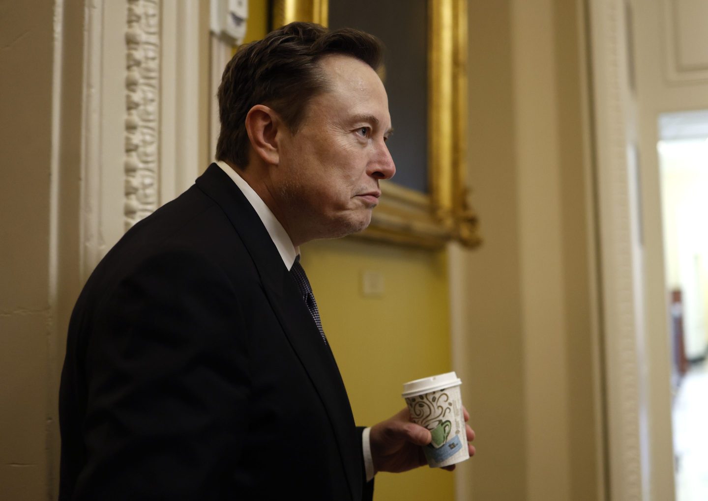 Tesla CEO Elon Musk, Co-Chair of the newly announced Department of Government Efficiency (DOGE), arrives on Capitol Hill on December 05, 2024 in Washington, DC