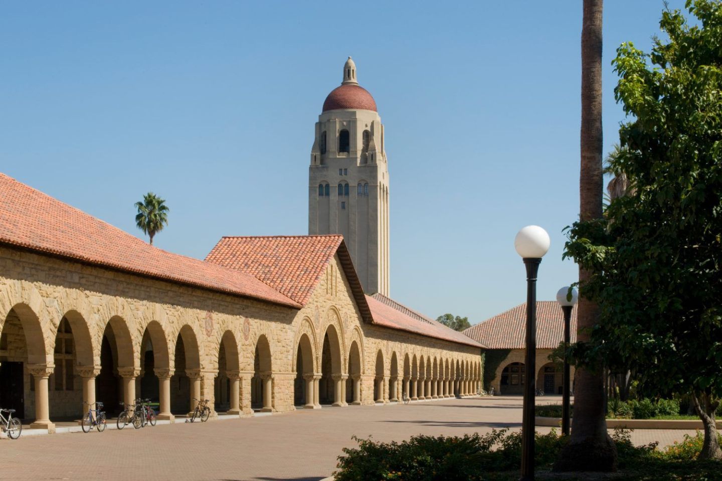 6. Stanford University