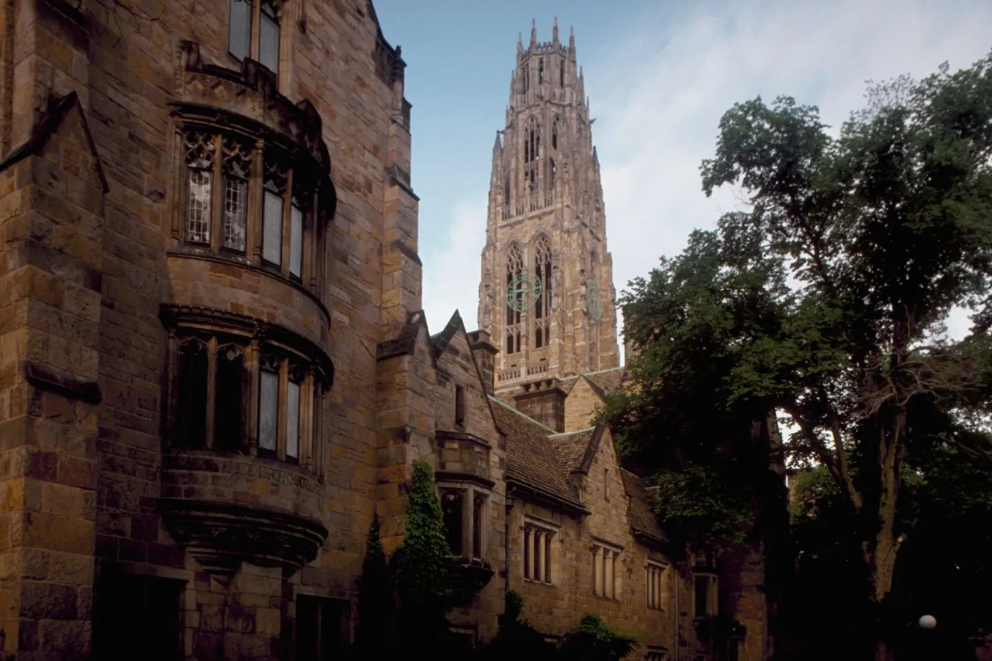 15. Yale University