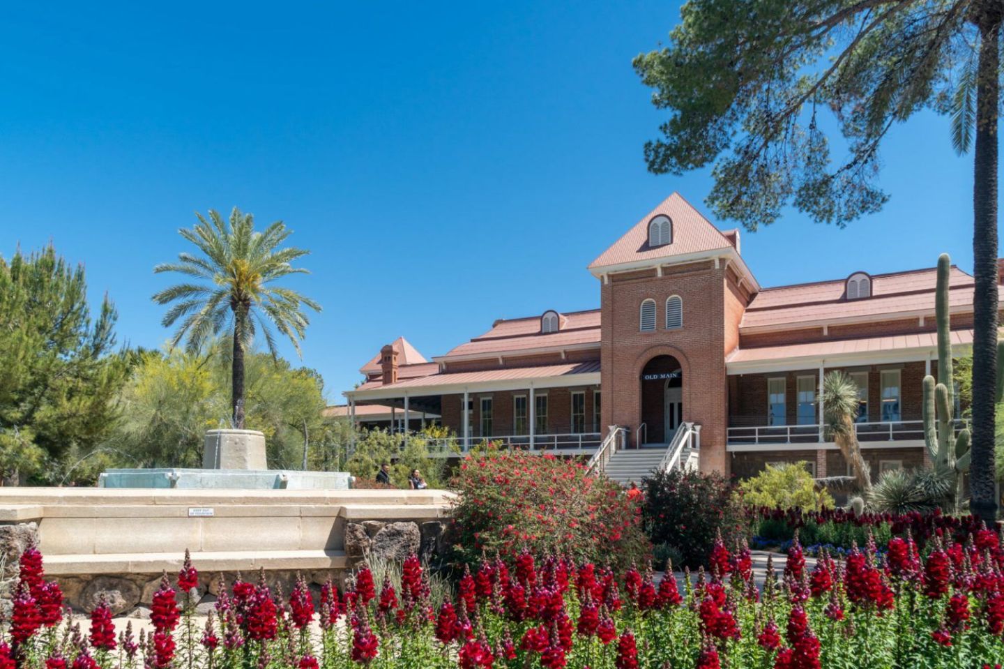 55. University of Arizona (Eller)