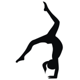 image for Acrobat